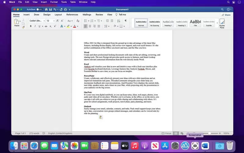 Microsoft Office 2021 Free Download for macOS